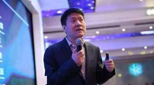 头条王福重视频,经济真相与未来趋势深度解析