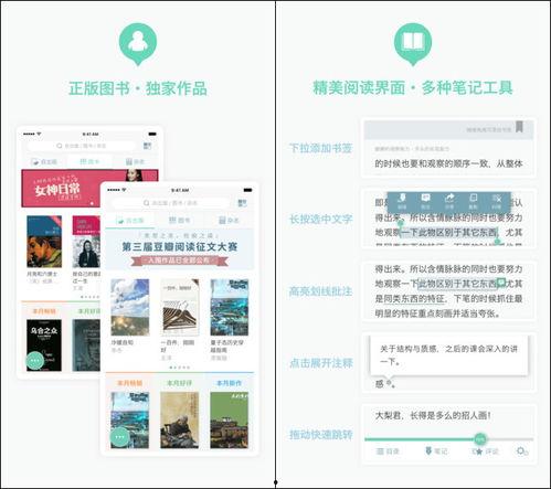 今日头条能否看小说,小说阅读新体验，随时随地畅享故事世界