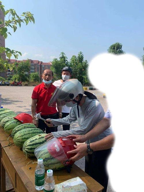 镇江最近吃瓜事件,一场网络热议背后的真相揭晓