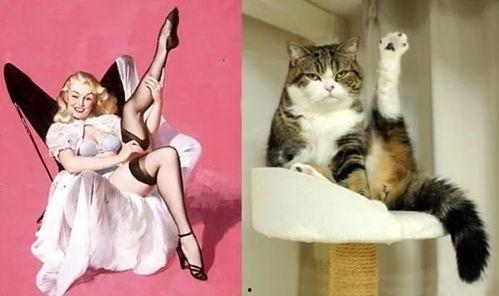 某女子吃猫视频被爆料,道德底线何在？