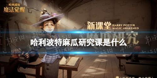 哈利波特 麻瓜研究老师,哈利波特中的非魔法教育