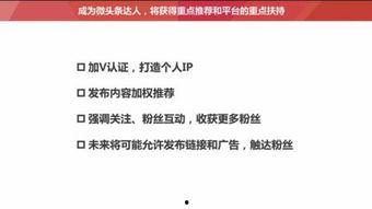 头条粉丝分为几部,深度解析不同粉丝群体的特征与价值