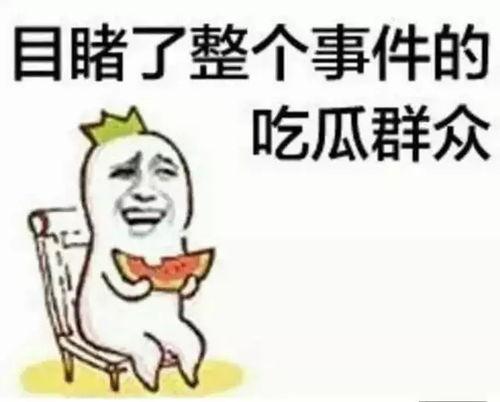 吃瓜群众戴岱岱,吃瓜群众的独特视角与趣味解读