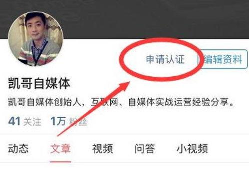 头条认证收益在哪看啊,轻松找到您的收益明细