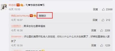 申报明星称号,申报明星称号的璀璨时刻