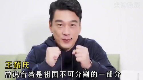 台湾爱国明星,台湾爱国明星风采录