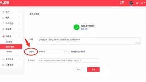 头条小程序怎样使用视频,轻松制作吸引眼球的概述文章副标题