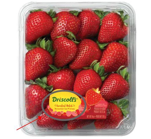 微笑爆料草莓视频大全最新,微笑爆料，带你领略最新潮流短视频盛宴