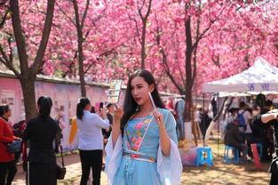 昆明何枚瑾网红,魅力绽放的都市新宠