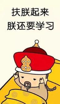 今日头条考研人语录,奋斗路上的心灵鸡汤