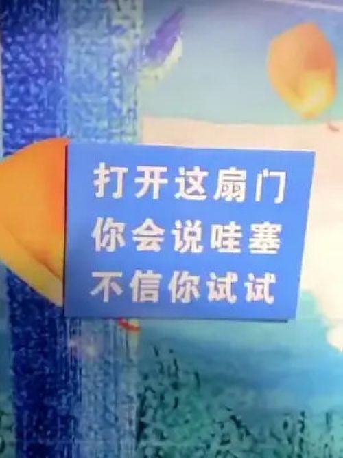 贾汪网红袁小熊,贾汪网红的崛起与影响力解析”