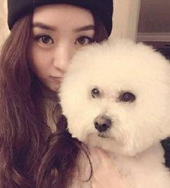 明星的宠物狗照片,揭秘明星狗狗们的萌态瞬间