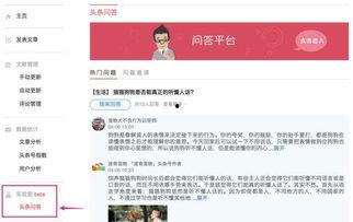 头条问答与知乎区别,平台差异深度解析