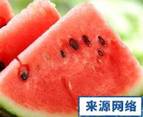 吃老瓜发胖吗,揭秘吃老瓜是否会发胖