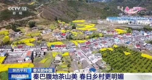 澄迈县富山镇新闻头条,乡村振兴战略下的富山新篇章