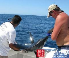 娱乐吃瓜钓鱼视频大全最新,娱乐吃瓜钓鱼视频大盘点，笑料百出，精彩纷呈！