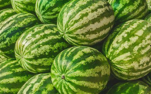 娱乐吃瓜素材哪里找,海量吃瓜素材，一网打尽！